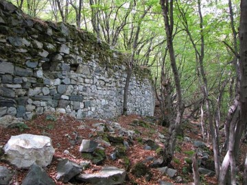 Tvarditsa forests Tvarditsa forests