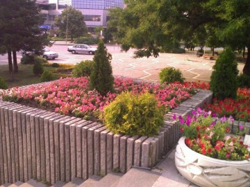 Radnevo center Radnevo center