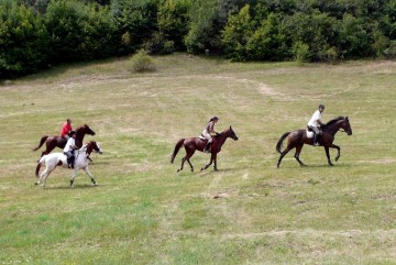 Rural tourism Rural tourism