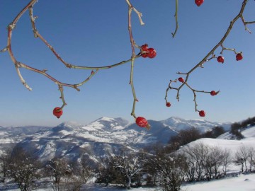 winter in Svoge winter in Svoge