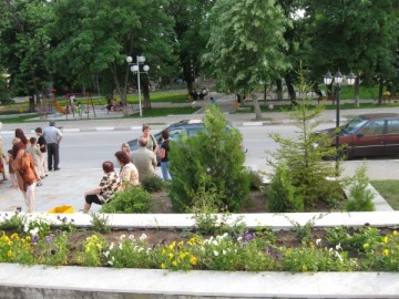 Borovan town Borovan town