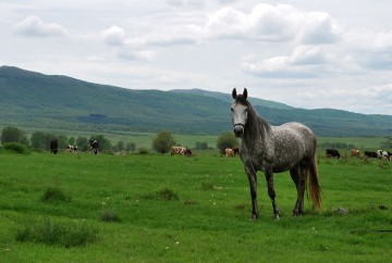 Tourism in Godech Tourism in Godech