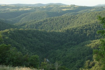 Strandzha Mountain - Bulgaria Strandzha Mountain - Bulgaria
