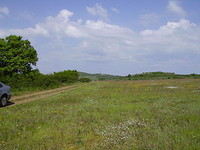 huge agricultural land