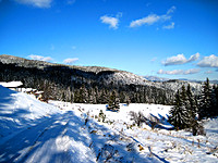 Regulated plot of land for sale in Pamporovo