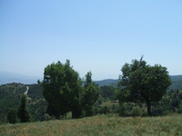 Regulated plot of land for sale near Sandanski