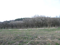 Regulated land for sale near Albena
