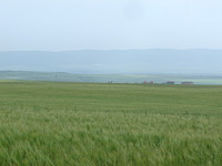 Agricultural land for sale nar Sunny Beach