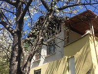 Houses in Elin Pelin