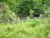 Regulated land in Svoge