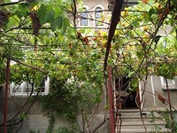 Houses in Elin Pelin