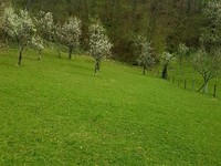 Regulated land in Teteven