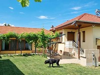 Lovely house for sale close to Ruse