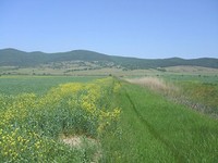 big regulated plot near the sea