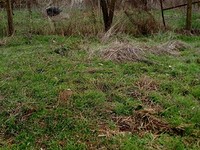 discounted rural property in south-east Bulgaria 