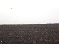 Plot of land for sale near Burgas