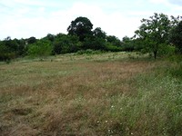 Huge Plot With House Foundations