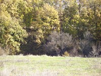 Land Perfect For Eco Tourism