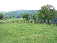Agricultural land in Burgas