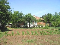 Houses in Elhovo