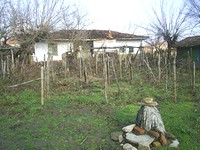 Property Near The Sea