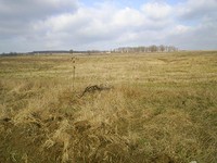 Land Only 7 Km From The Sea