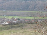 Attractive plot of land