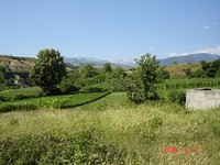 Excellent Plot Near Sandanski