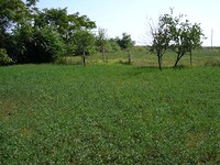 Regulated land in Yambol