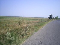 Huge Land Near The Sea