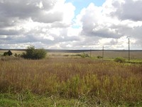 Huge Land Near The Sea