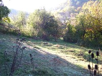 Regulated land in Berkovitsa