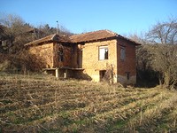 Houses in Berkovitsa