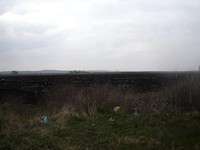 Land At The Sea Side