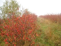 Development land in Veliko Tarnovo