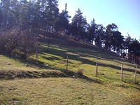 Regulated plot of land for sale in Velingrad