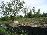 building plot 20 km from the sea