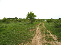 Agricultural land in Burgas