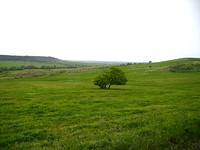 Large Plot Of Land Not Far From A Lake