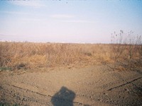 Land for sale near Plovdiv